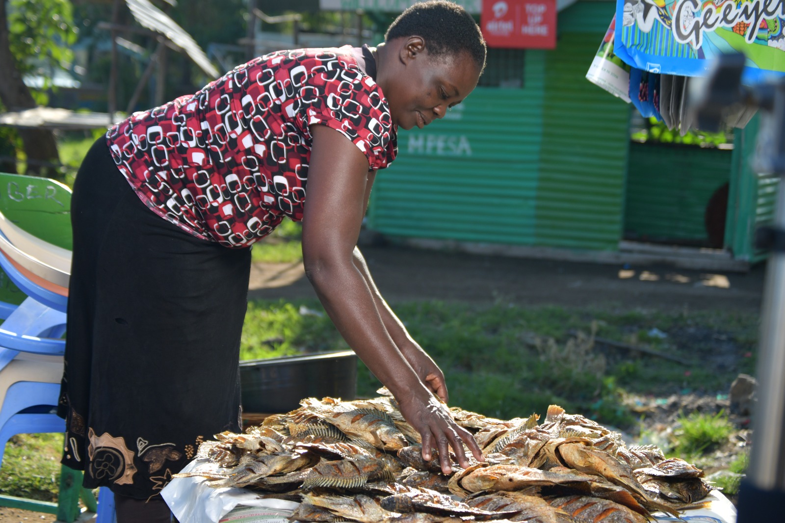 Food Security and Livelihoods